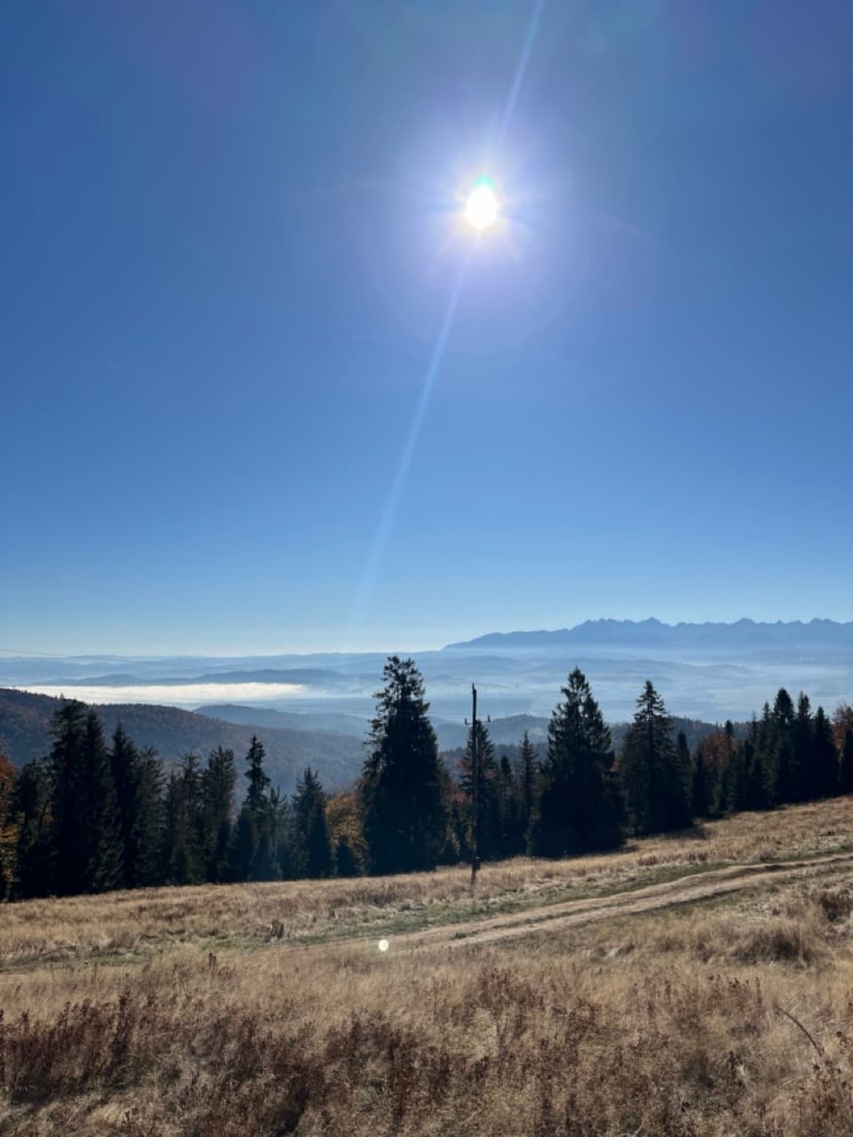 Widok z ze szczytu Gorc, z góry Turbacz na Nowy Targ i Tatry w tle